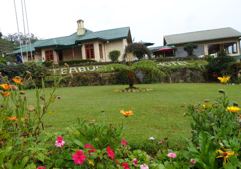 Tea Bush Hotel Nuwara Eliya Kültér fotó